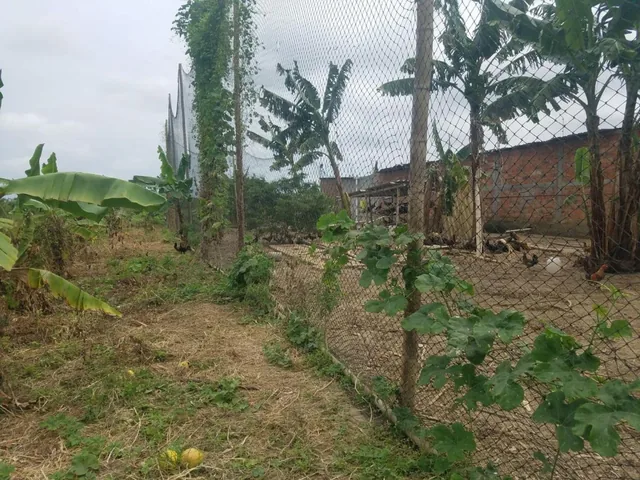 Terreno de Venta en Montecristi Sitio Toalla Chica, Manabí — imagen 2