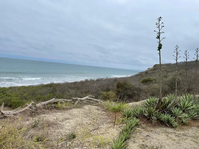 En Venta Espectacular Propiedad de 140 Has Ideal Para Proyecto Turistico, Machililla, Manabí — imagen 2
