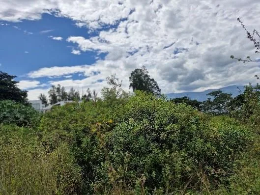 Venta Terreno en Nayón Sector Tanda — imagen 4