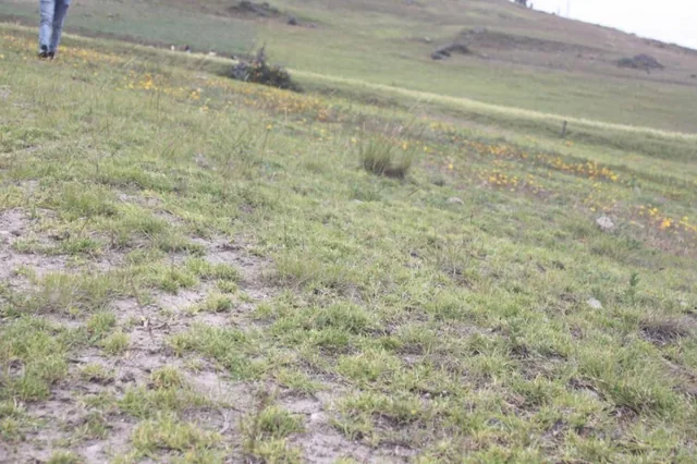 Terreno en Venta en Cañar — imagen 5