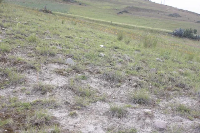 Terreno en Venta en Cañar — imagen 3