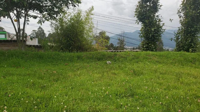 Venta de Terreno en Conocoto — imagen 3