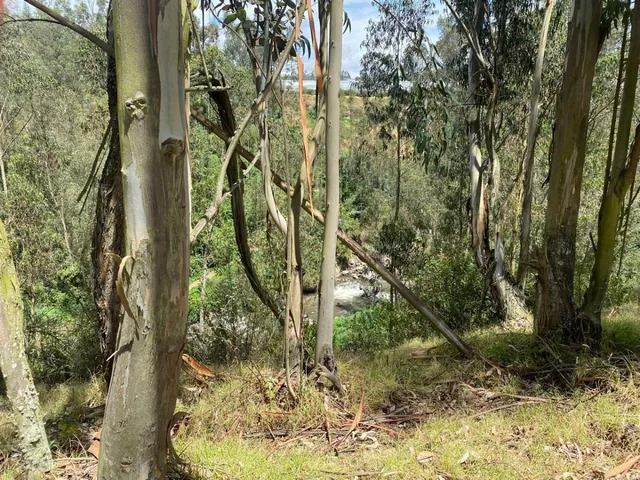 Terreno en Venta Terreno Sector Cañar Chuquipata — imagen 2