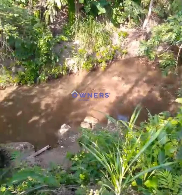 Vendo Finca de 4 Has con Riachuelo y Arboles Frutales. Pajan (Mm), Manabí — imagen 5