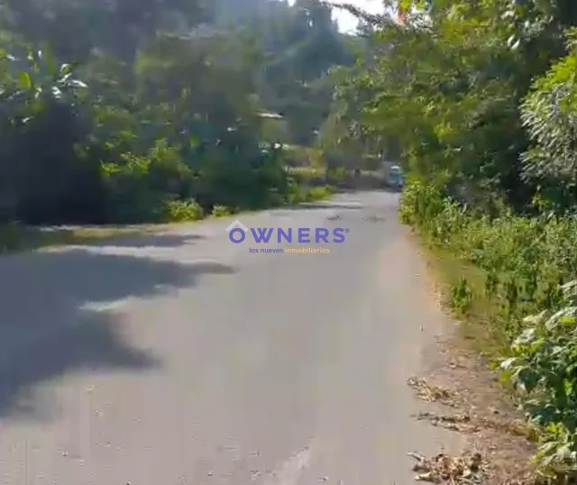 Vendo Finca de 4 Has con Riachuelo y Arboles Frutales. Pajan (Mm), Manabí — imagen 4