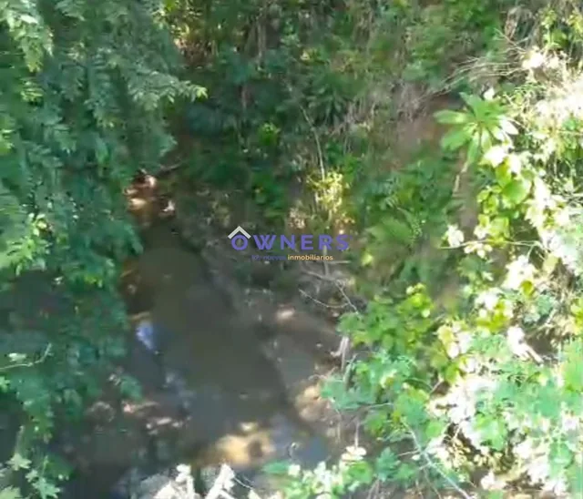 Vendo Finca de 4 Has con Riachuelo y Arboles Frutales. Pajan (Mm), Manabí — imagen 2