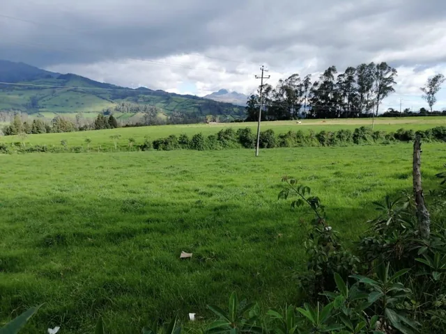 Venta de Terreno Plano Entre Tambillo y Amaguaña con Frente a La Autopista — imagen 2