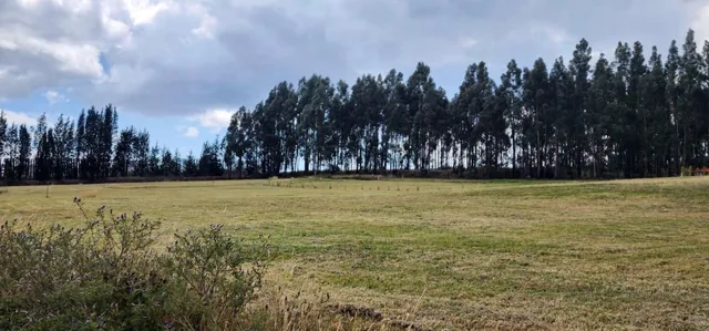 Terreno 2.513 m² Urbanización Privada en Tabacundo | Naturaleza, Exclusividad y Casa de Campo — imagen 2
