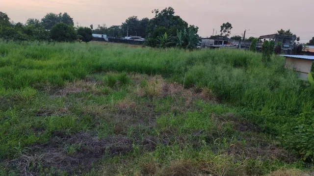 Terreno en Quevedo, Los Ríos — imagen 5