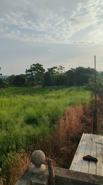 Terreno en Quevedo, Los Ríos — imagen 2