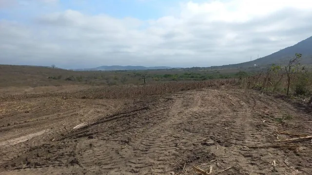 Terreno en Venta, Los Bajos de Montecristi, Manabí — imagen 2