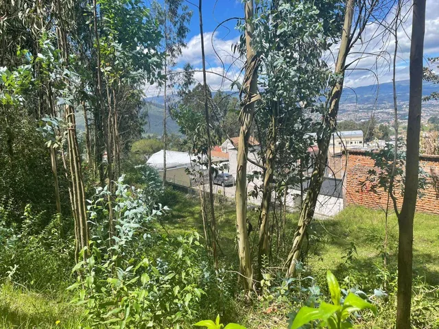 Se Vende Amplio Terreno en El Valle de Los Chillos Sector Puente 3 — imagen 4