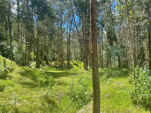 Se Vende Amplio Terreno en El Valle de Los Chillos Sector Puente 3 — imagen 3