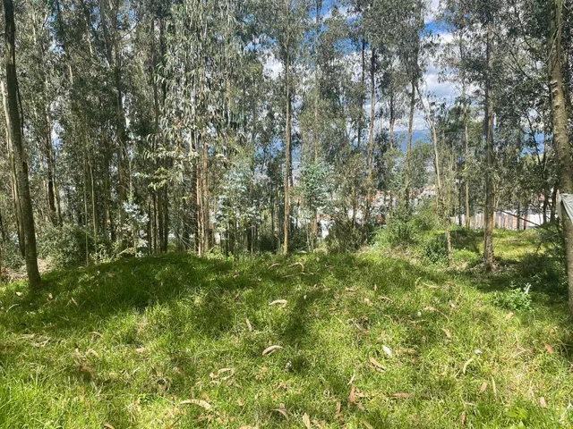 Se Vende Amplio Terreno en El Valle de Los Chillos Sector Puente 3 — imagen 2