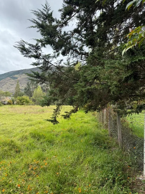 Terreno de Oportunidad en Venta – El Cabo, Paute, Azuay — imagen 5