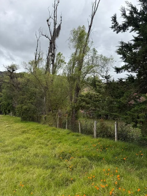 Terreno de Oportunidad en Venta – El Cabo, Paute, Azuay — imagen 3