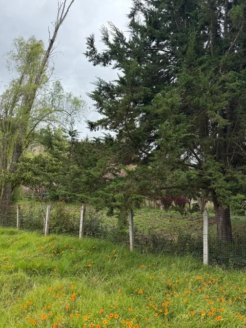 Terreno de Oportunidad en Venta – El Cabo, Paute, Azuay — imagen 2