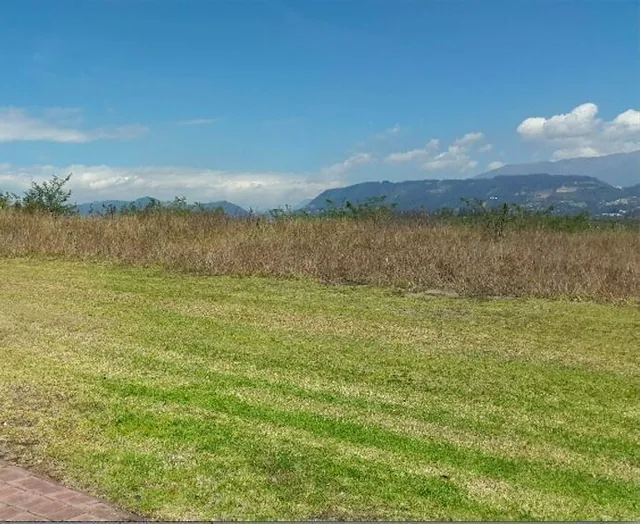 Puembo Terreno de Venta en Urb. Arrayanes. Vista Espectacular — imagen 2