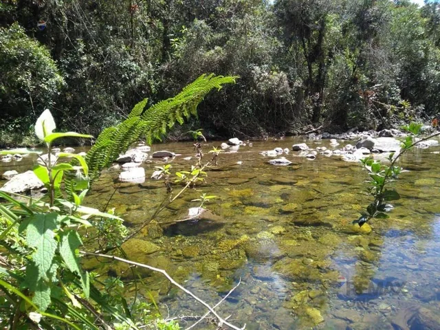Propiedad en Venta Vía a Mazan - Cajas, Cuenca. Azuay — imagen 2