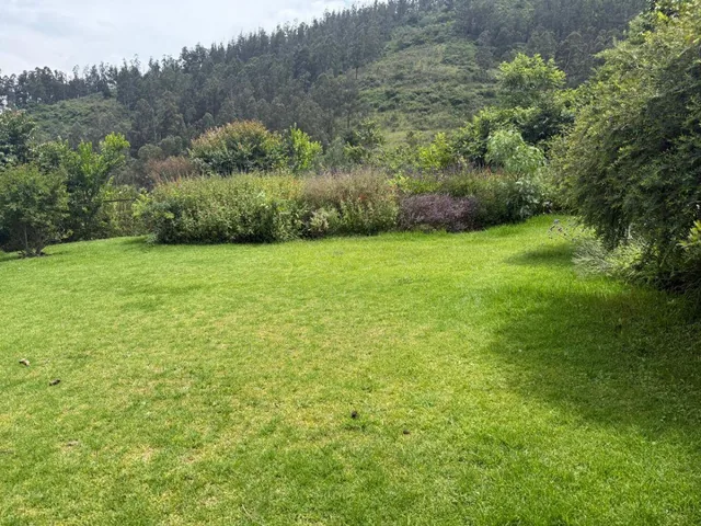 Vendo Hermoso Terreno Plano Centro de Pifo, Para Proyecto o Supermarket Cos Total 70, 35 Pb! — imagen 5