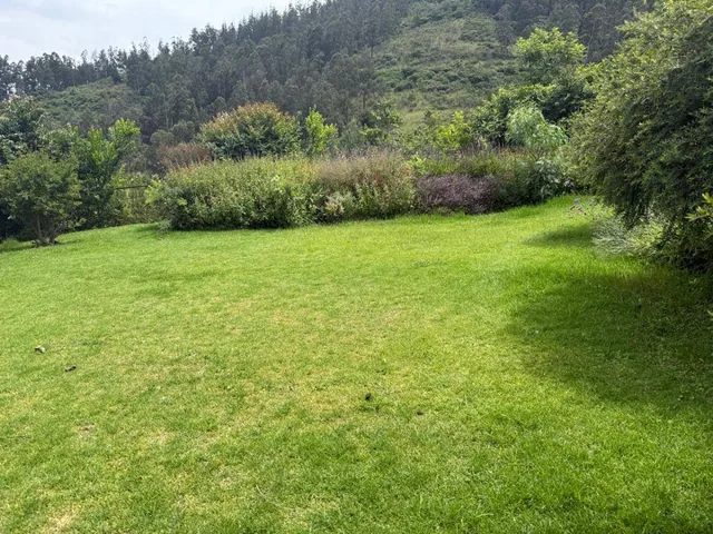 Vendo Hermoso Terreno Plano Centro de Pifo, Para Proyecto o Supermarket Cos Total 70, 35 Pb! — imagen 4