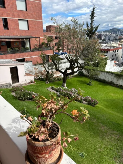 Vendo Terreno con Hermosa Vista en El Quito Tenis — imagen 3
