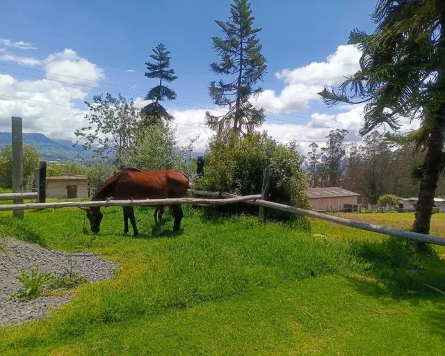 Lotes en Venta. Sector Norte Exclusivo en Ambato, Tungurahua — imagen 2