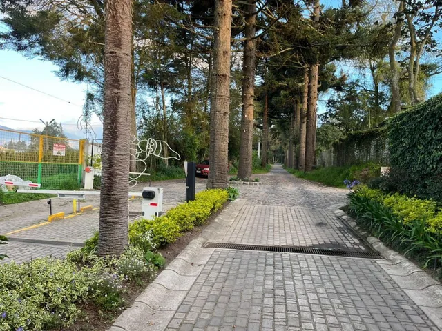 Venta Terreno 3 Ha en Checa – Ideal Para Desarrollo Inmobiliario o Inversión de Alta Plusvalía — imagen 2