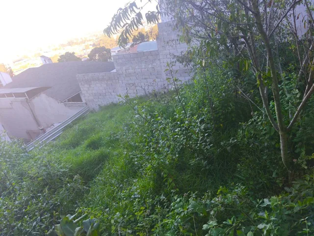 Vendo Terreno en Urbanización Privada Av Galo Plaza Entre Intercambiador de Carcelen y El Portal — imagen 2