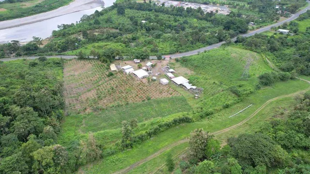 Venta - Hectarea - Esmeraldas - Ruta del Spondylus - Lotes - Norte — imagen 3