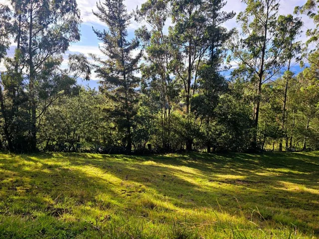 Venta - Lotes - Terreno - Quito - Quinche - Barrio La Esperanza — imagen 5