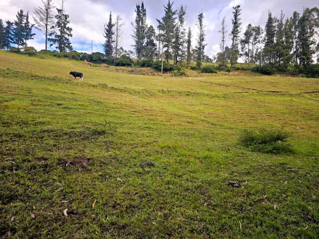 Venta - Lotes - Terreno - Quito - Quinche - Barrio La Esperanza — imagen 4