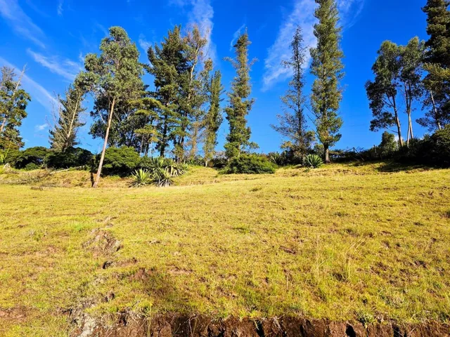 Venta - Lotes - Terreno - Quito - Quinche - Barrio La Esperanza — imagen 2
