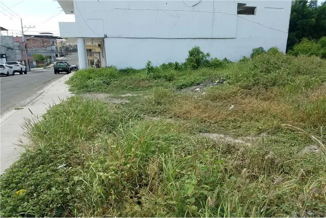 Terreno de Venta en Sector Céntrico de Manta, Manabí — imagen 5