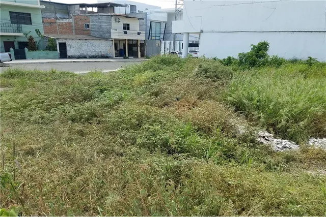 Terreno de Venta en Sector Céntrico de Manta, Manabí — imagen 3
