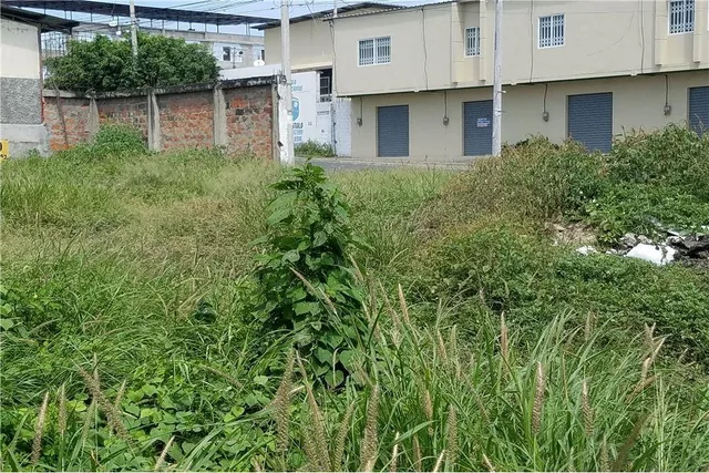 Terreno de Venta en Sector Céntrico de Manta, Manabí — imagen 2