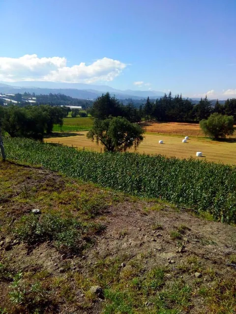 Hacienda en Venta con Mina en Producción en Salcedo, Cotopaxi — imagen 4
