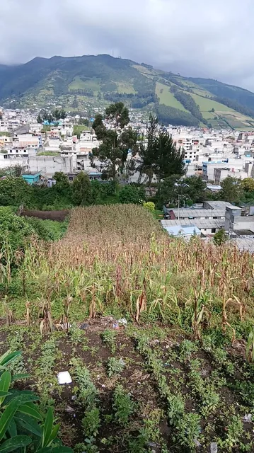 Se Vende Terreno — imagen 2