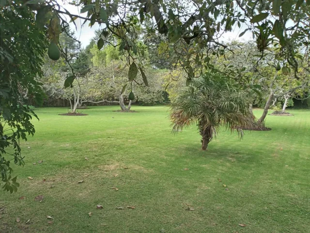 Terreno en Puembo — imagen 5