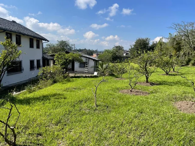 Mv - Puembo, en Venta Terreno 11.264,34 Ideal Para Proyecto Inmobiliario — imagen 4