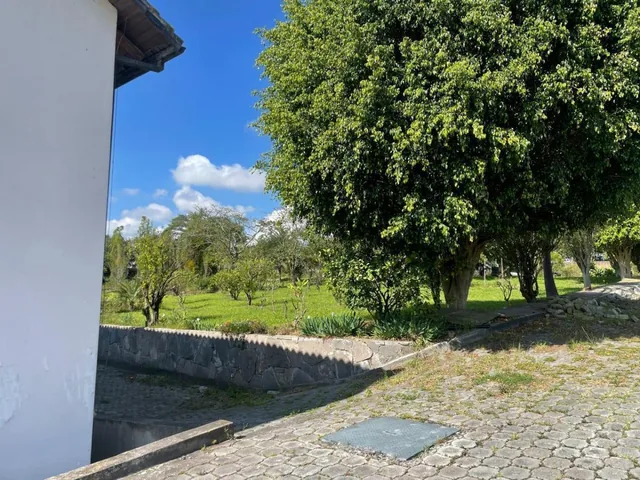 Mv - Puembo, en Venta Terreno 11.264,34 Ideal Para Proyecto Inmobiliario — imagen 3