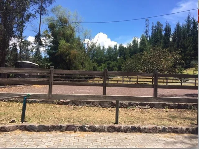Los Chillos - Alangasi Terreno de Venta Ideal Para Residencias Campestres — imagen 3