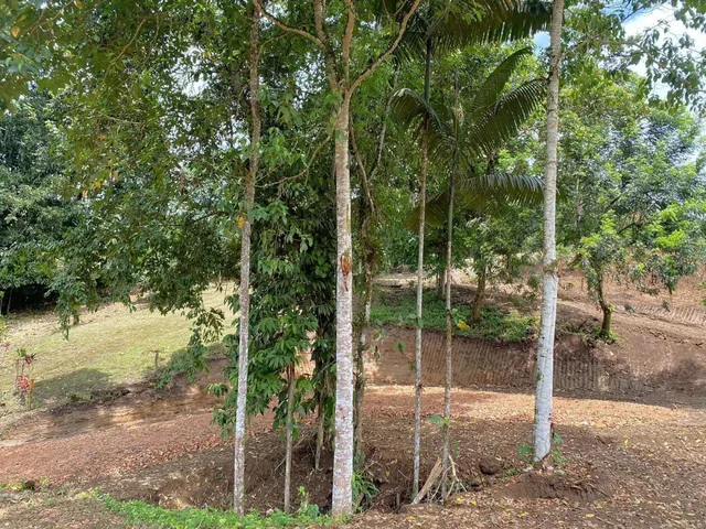Oportunidad Terreno en Urbanización Silanche 1.500 m², Pedro Vicente m. Lote 181 — imagen 2