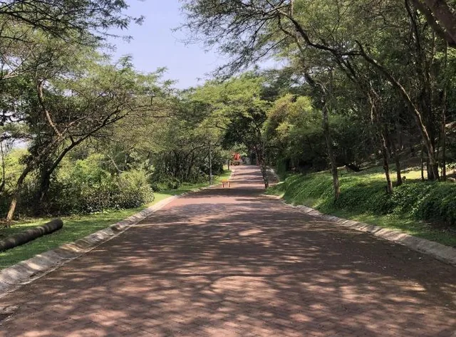 Vendo Lindo Terreno - Urbanizacion La Viña - Seguridad 24/7 - *mm — imagen 3