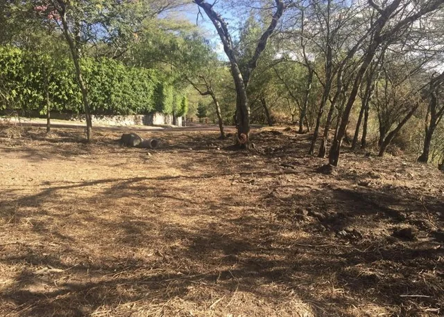 Vendo Lindo Terreno - Urbanizacion La Viña - Seguridad 24/7 - *mm — imagen 2