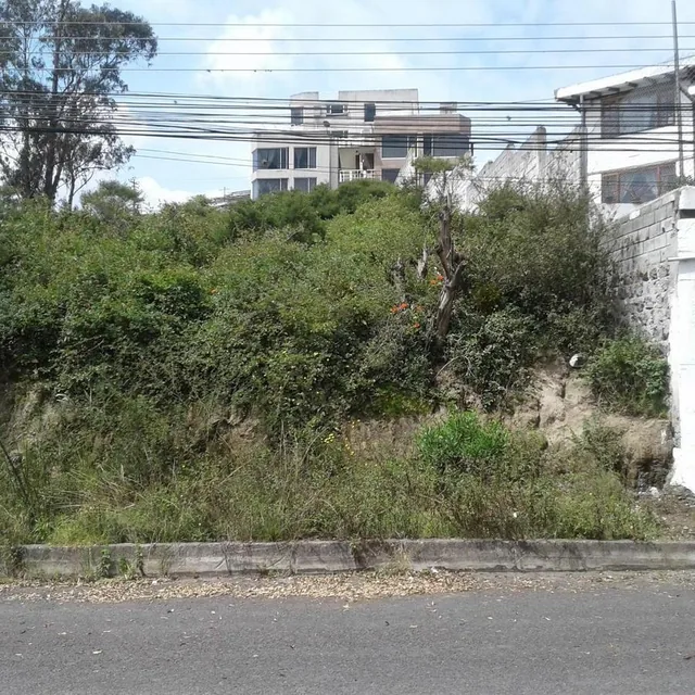 Terreno de Venta en Carcelen Sector Colegio Americado 1331 m² $185.000 — imagen 2