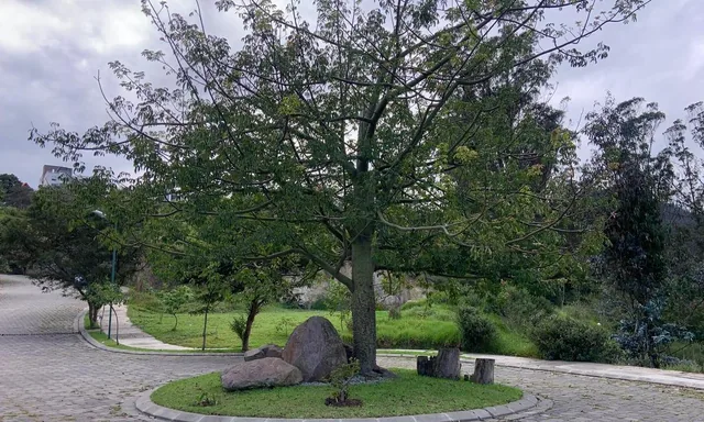 Venta de Terrenos Dentro de Urb Privada, Cumbayá Calle Los Conquistadores. $170 m² — imagen 4