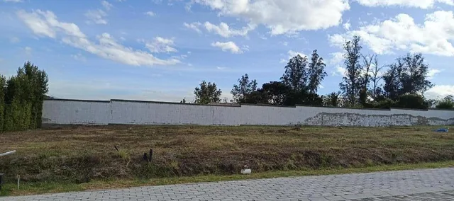 Terreno en Venta López Baquero Puembo, Sector Los Arrayanes — imagen 2
