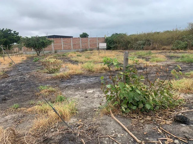 Terreno de Venta en Jaramijó Manabi, Manabí — imagen 3
