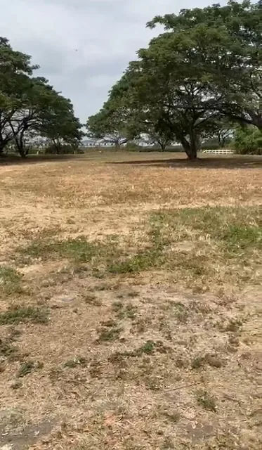 Venta de Terreno en El Cortijo, Guayas — imagen 2